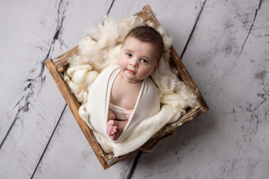 Sebastian | 2 months 28 Sebastian 004 web