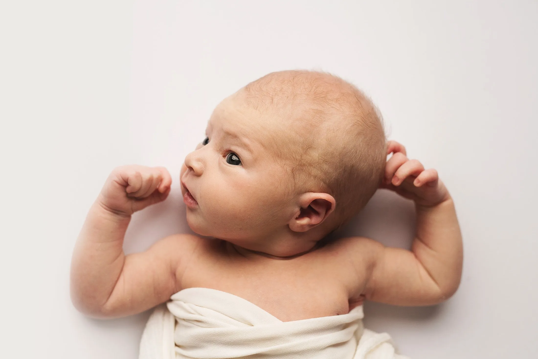 Beatrice | 10 days 4 Beatrice 032