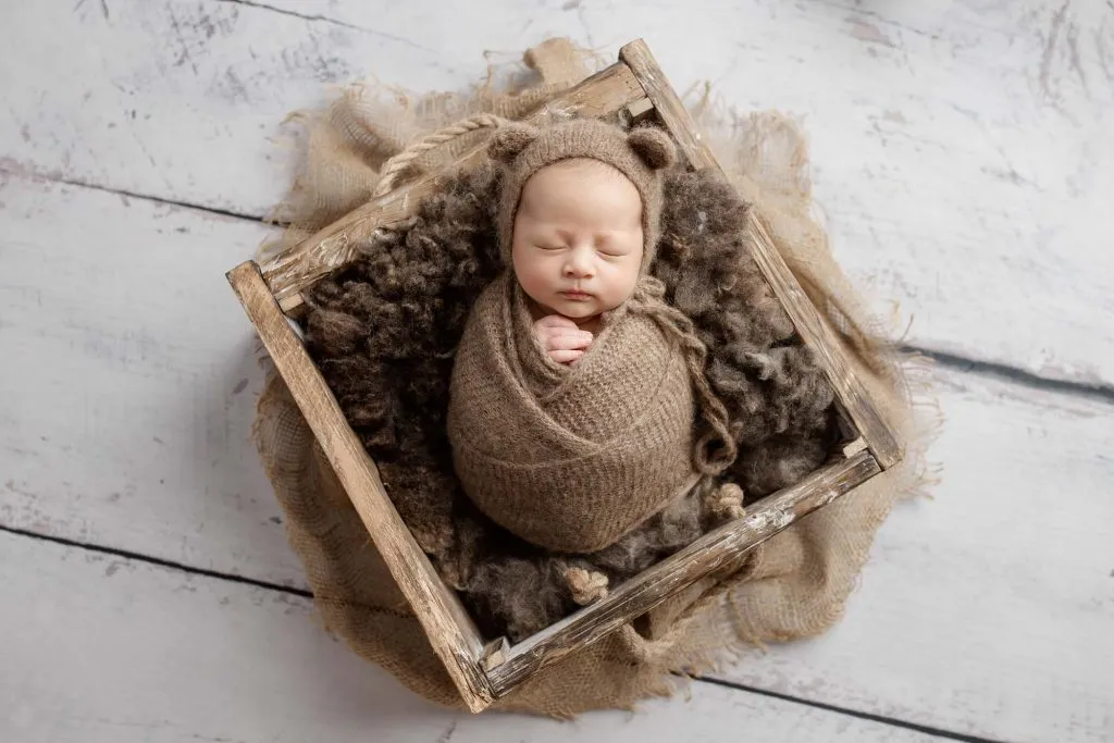 Phoenix | 14 days 5 Phoenix 101 web