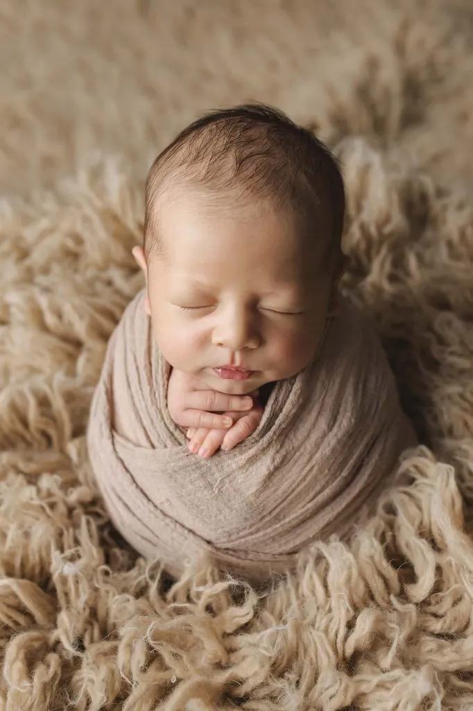 Phoenix | 14 days 2 Phoenix 104 web