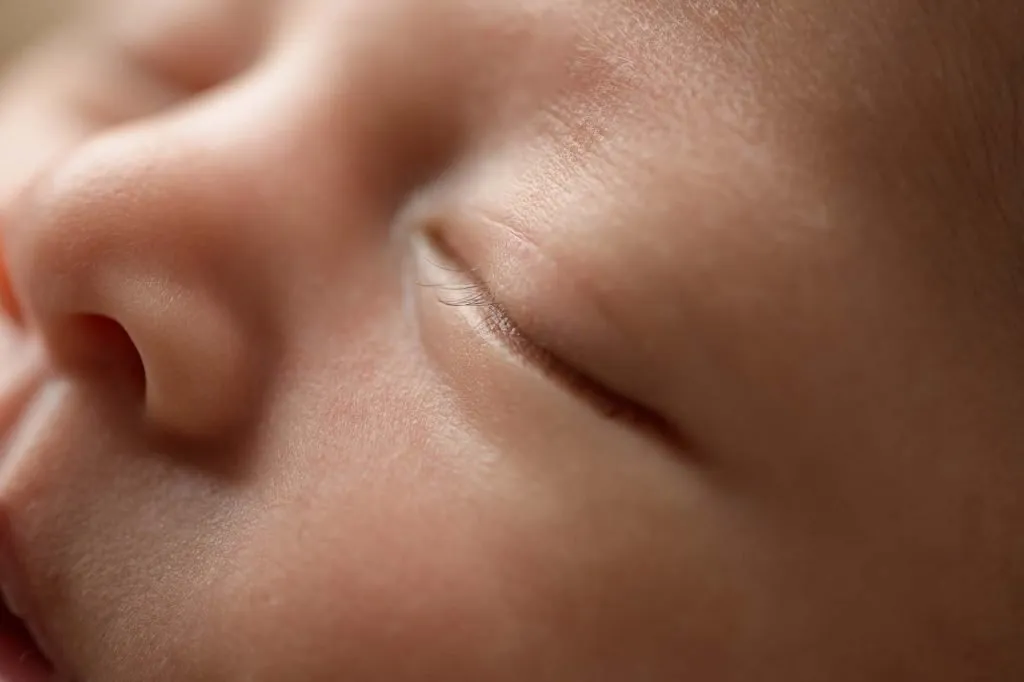 Phoenix | 14 days 29 Phoenix 107 web