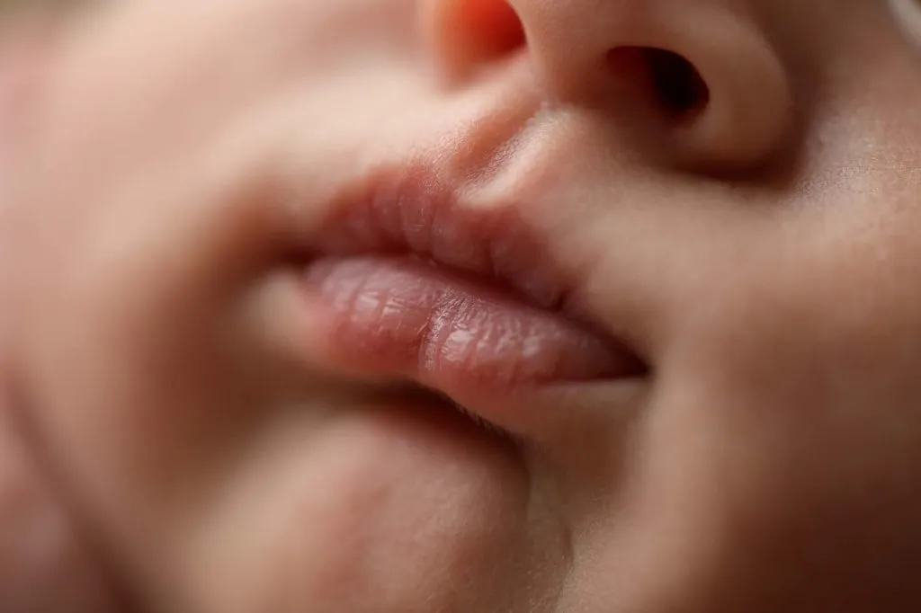 Phoenix | 14 days 28 Phoenix 108 web