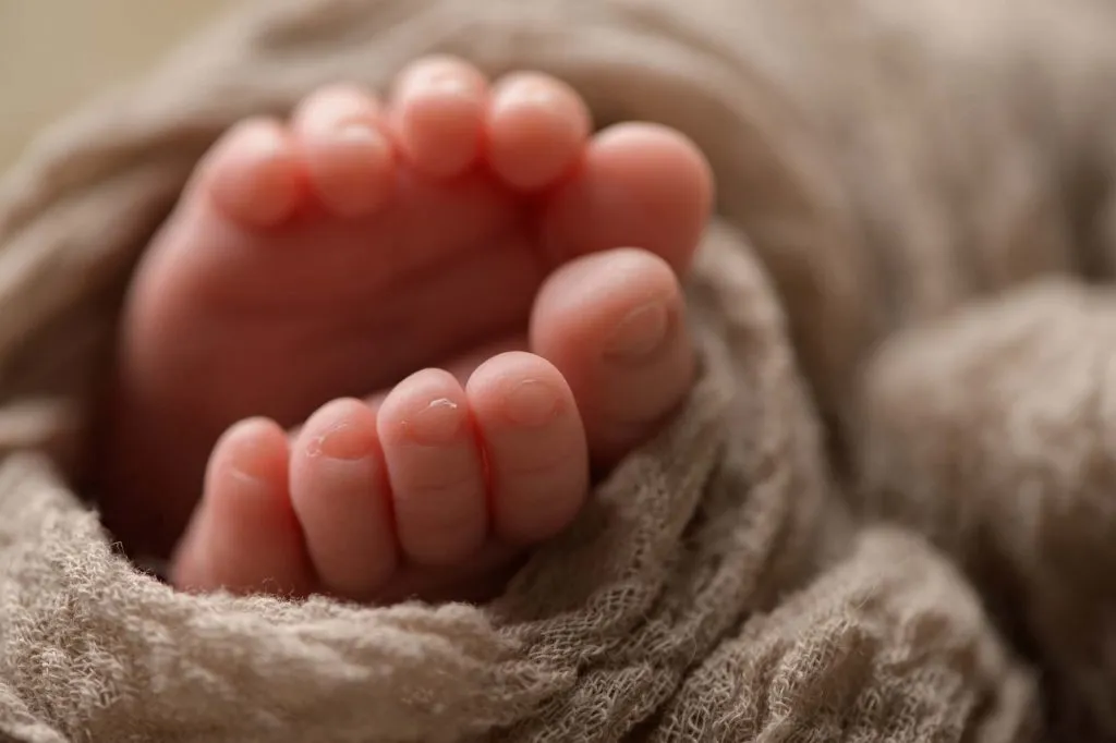 Phoenix | 14 days 27 Phoenix 109 web