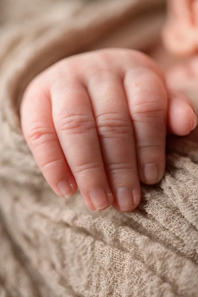 Phoenix | 14 days 26 Phoenix 110 web