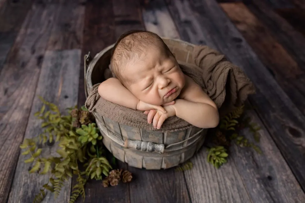 Phoenix | 14 days 24 Phoenix 112 web