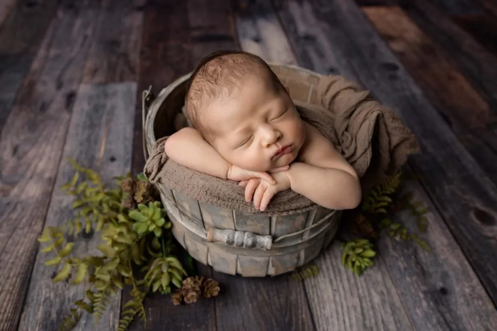 Phoenix | 14 days 23 Phoenix 113 web