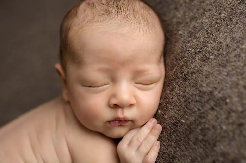 Phoenix | 14 days 15 Phoenix 121 web