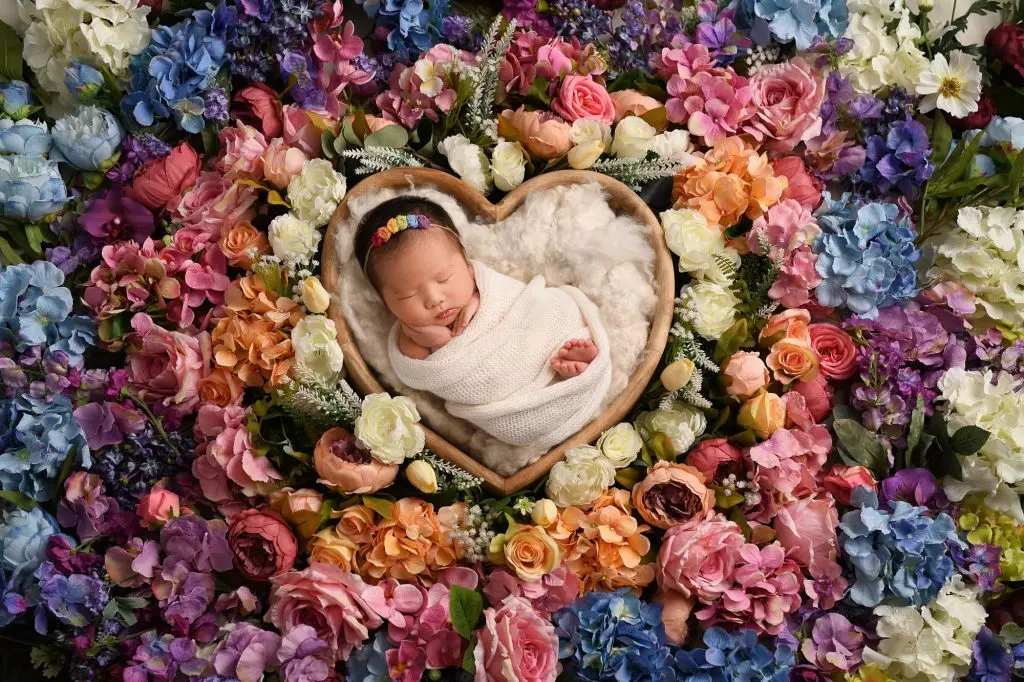 Charlotte | 13 Days 1 Charlotte 100web