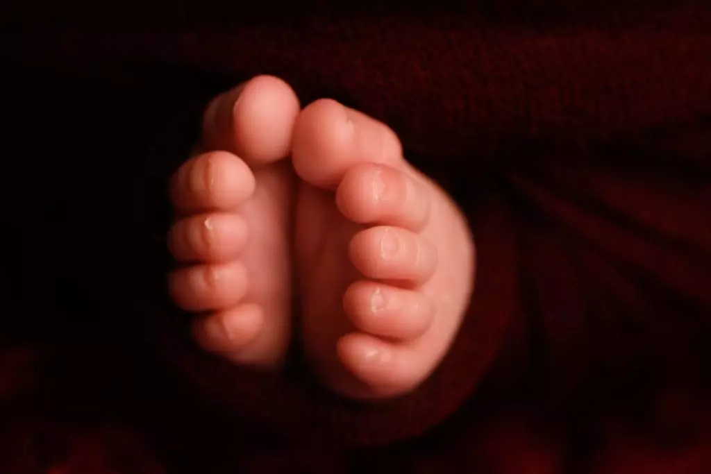 Charlotte | 13 Days 21 Charlotte 120web