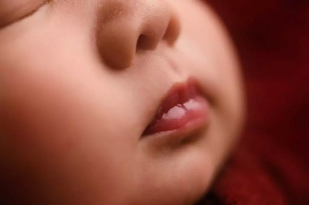 Charlotte | 13 Days 22 Charlotte 121web