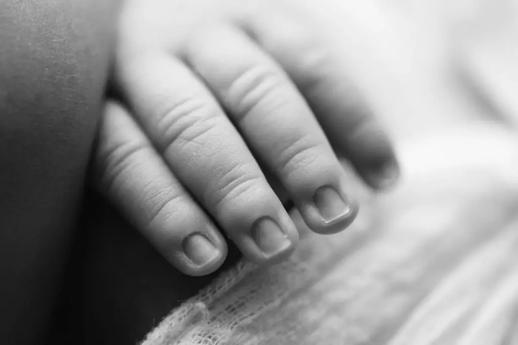 Xanthia | 12 Days 17 Xanthia 116bwweb