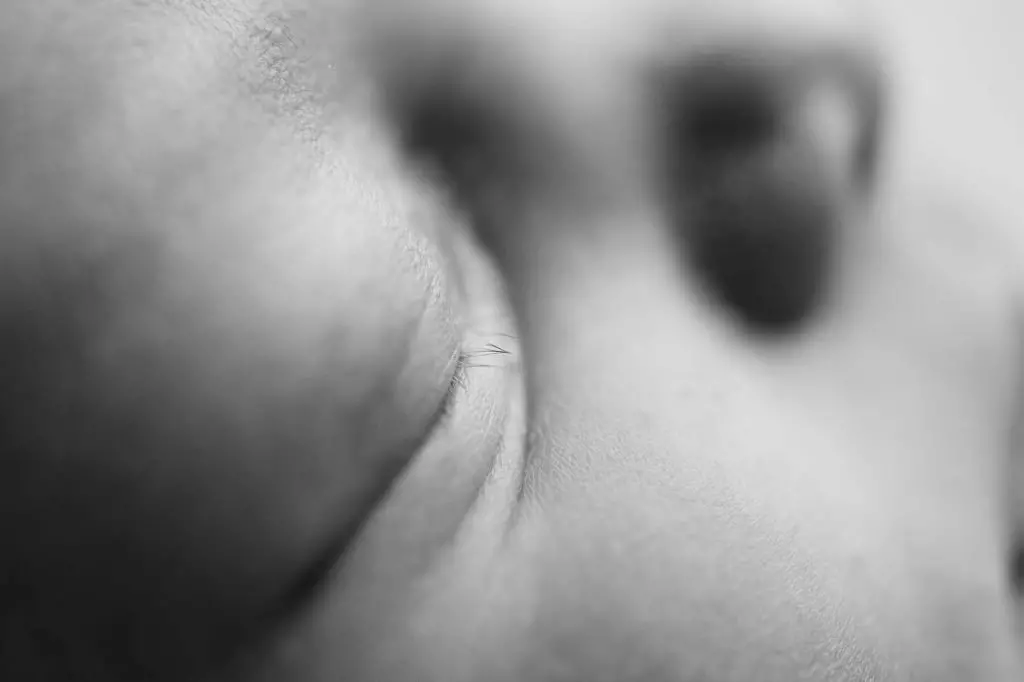 Xanthia | 12 Days 18 Xanthia 117bwweb